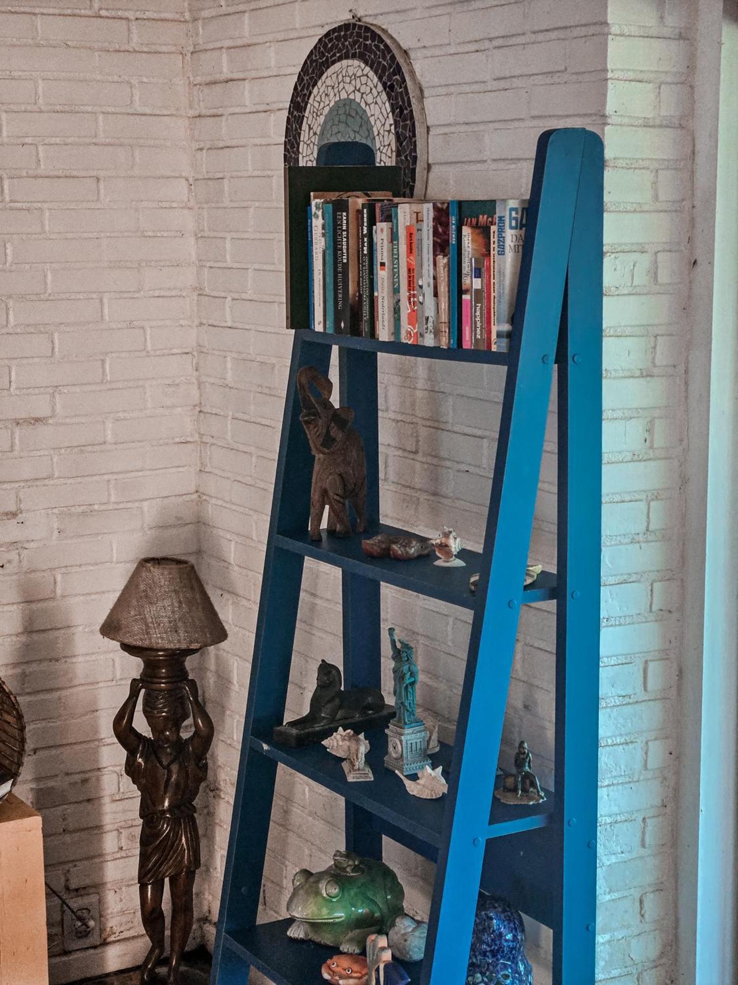 Bella Vista Ocean View Hotell Búzios Eksteriør bilde A blue ladder shelf